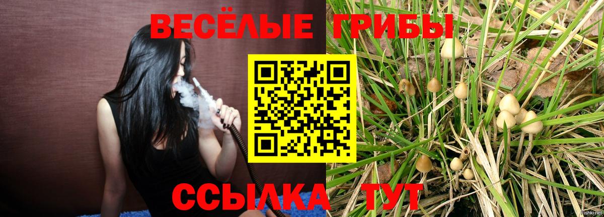 Галлюциногенные грибы MAGIC MUSHROOMS  Вход с VPN  Кропоткин 