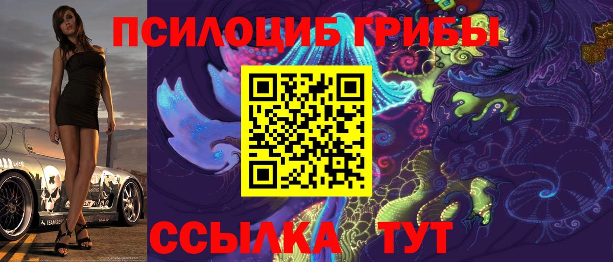 Галлюциногенные грибы Psilocybine cubensis Кропоткин